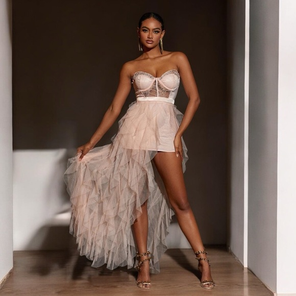 PINK Lace Mesh Tulle Mini‎ Maxi Flowy Bustier Corset Dress Size S Ruffle Sexy - Picture 2 of 8